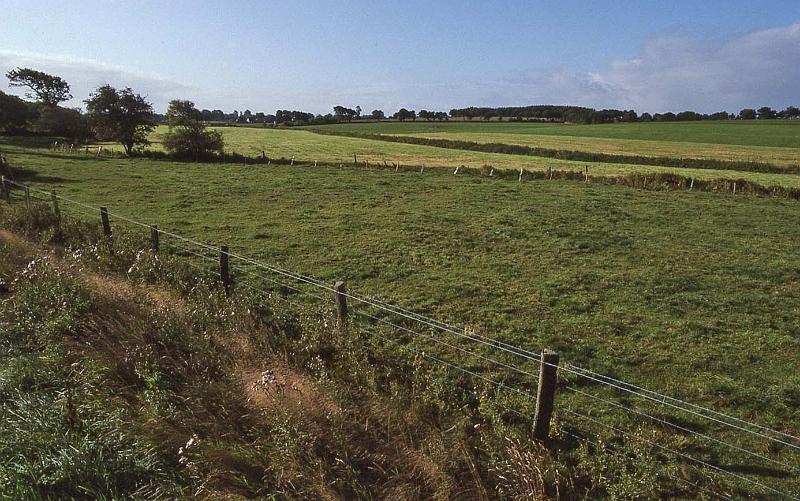 WT 1800 244-32 Germany.jpg